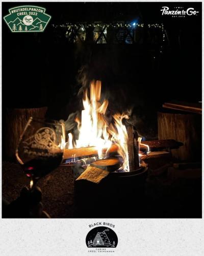 a fire is burning in a fire pit at night at Black Birds Cabins Creel in Creel