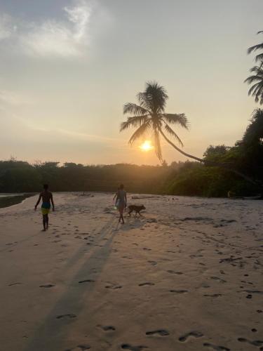 two people and a dog walking on the beach at Beachside Stay Steps From Mawella Bay, Tangalle #thisisnotahotel in Mawella