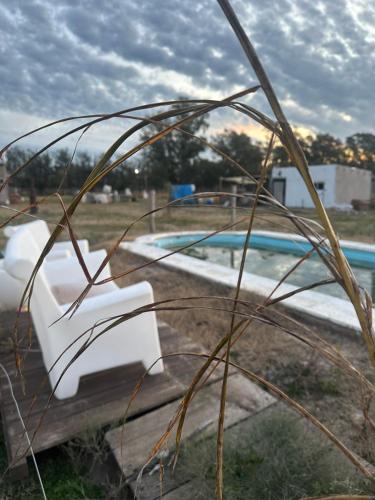 Una silla blanca sentada junto a una piscina. en Epona, en Marcos Paz