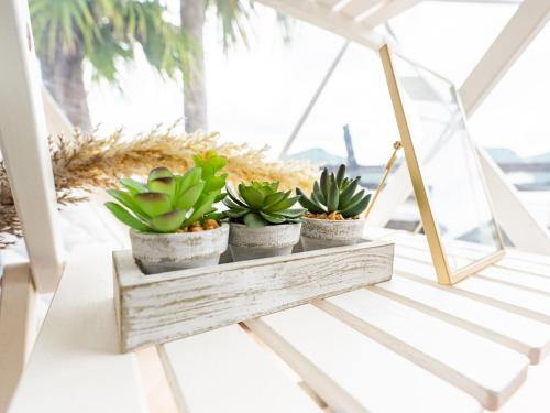 a row of potted plants sitting on a table at Calm Lanai Harbor in Nichinan