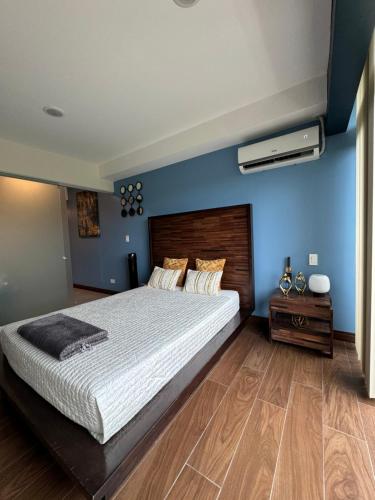 Letto o letti in una camera di Cozy apartment near to Costa Rica Airport