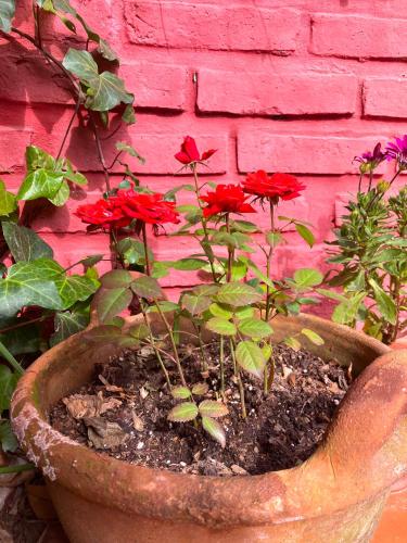 a pot with red flowers in it next to a brick wall at Mini cabaña El Solcito, tranquilidad a dos cuadras de la Laguna de Chascomús in Chascomús
