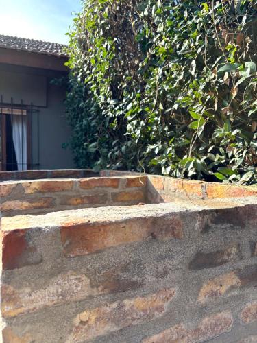 an old brick wall with a bush in the background at Mini cabaña El Solcito, tranquilidad a dos cuadras de la Laguna de Chascomús in Chascomús