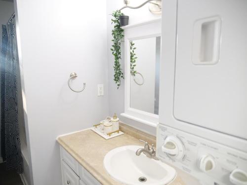a bathroom with a sink and a mirror at Entire Unique Apartment in Kingston