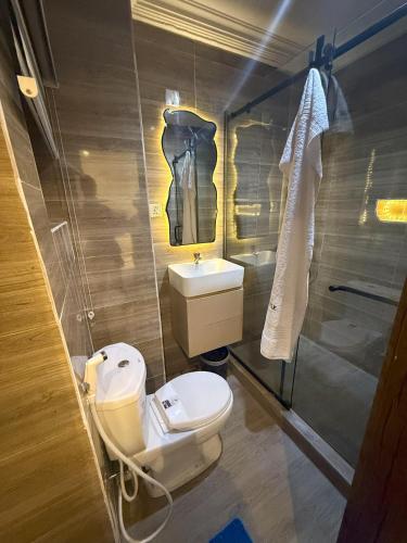 AbeokutaにあるWaldam Castle Apartment Ibaraのトイレと洗面台付きのバスルーム