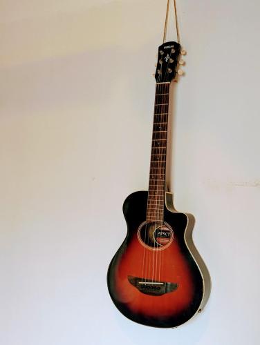 a guitar hanging on a wall at Don Jiménez Guesthouse in Puerto Jiménez