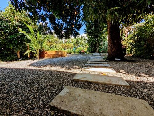 a tree and stepping stones on a gravel road at Don Jiménez Guesthouse in Puerto Jiménez