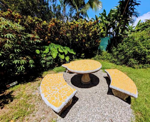 a table and two benches in the grass at Don Jiménez Guesthouse in Puerto Jiménez