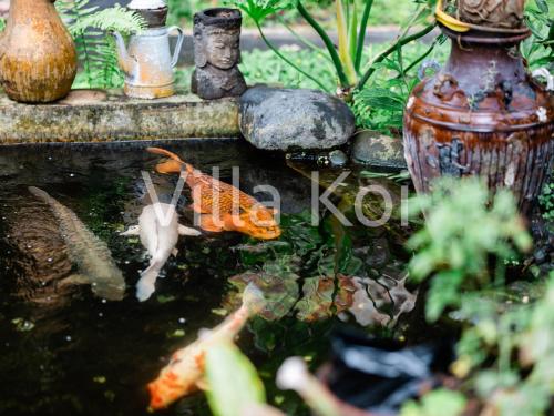 a garden with a koi pond in a garden at Villa Koi in Keramas