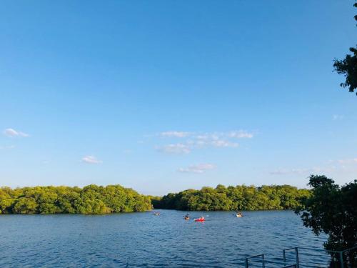 a group of people kayaking on a lake at Wilpattu Nature Resort in Murandanveli