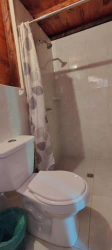 a bathroom with a white toilet and a shower at Sapiens house la cabaña del Reloj in Cali