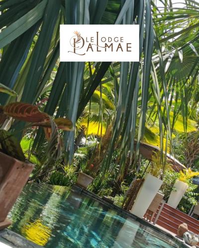 a garden with a pool in a greenhouse at Lodge Palmae - Votre Lodge avec Jacuzzi Privatif - Adults Only in Saint-Pierre