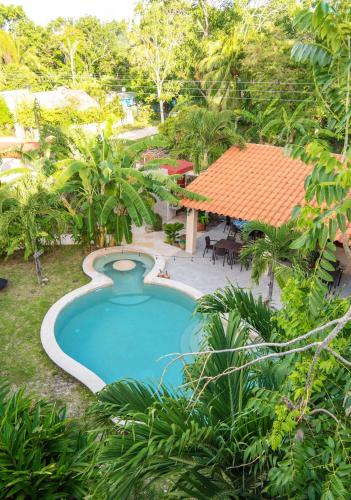 an image of a swimming pool at a resort at Casa Cactus Buenavista in Bacalar