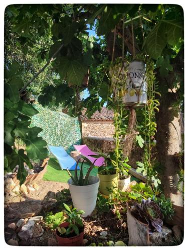 a garden with two chairs and plants and a sign at Casa Maibeca in Bolbaite