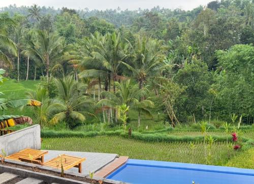 a resort with a swimming pool and palm trees at Nona Lodge in Tetebatu