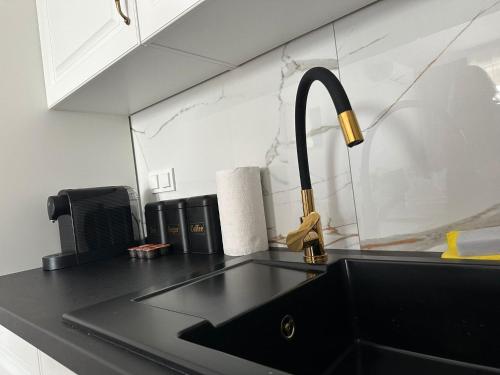 een aanrecht met een wastafel en een kraan bij GoldClass Apartament in Katowice