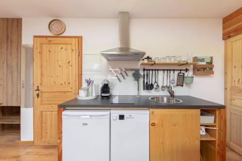 a kitchen with a sink and a stove at Turistična kmetija Marovt in Bled