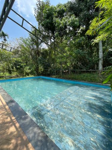 a swimming pool with blue water and trees at The zerai private villa in Vythiri