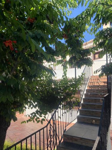 a set of stairs in front of a building at Apartamentos CerroNegro in Capileira