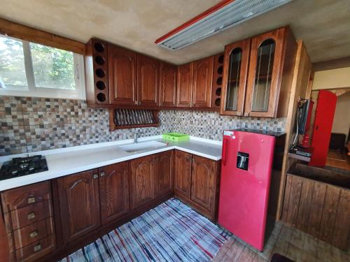 a kitchen with a pink refrigerator and wooden cabinets at Faraya Vista in Kfardebian