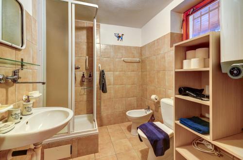 a bathroom with a shower sink and a toilet at Chalupa v Meziluzi in Meziluží
