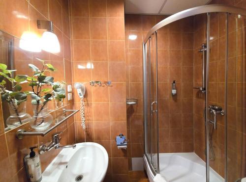 a bathroom with a shower and a sink at Hotel Lothus in Wrocław