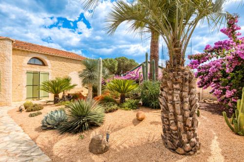 a palm tree in the middle of a garden at La Palmeraie - Chambre Musique in Portiragnes