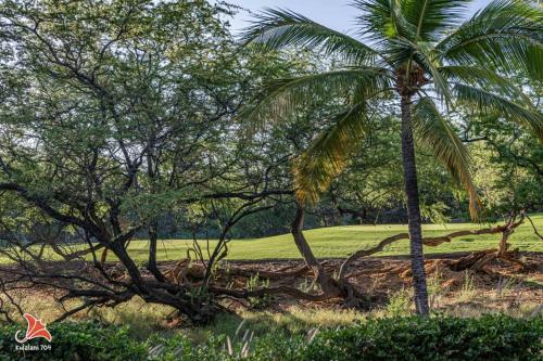 a palm tree in the middle of a field at 2BR bright quiet condo in Kulalani sleeps 6 in Waikoloa