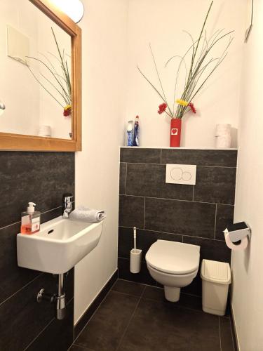 a bathroom with a sink and a toilet and a mirror at Ferienwohnung Simonhof in Maria Alm am Steinernen Meer