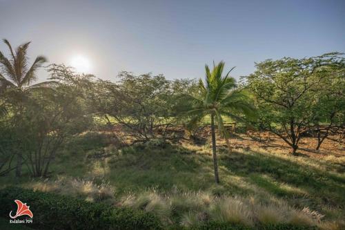 a palm tree in the middle of a field at 2BR bright quiet condo in Kulalani sleeps 6 in Waikoloa