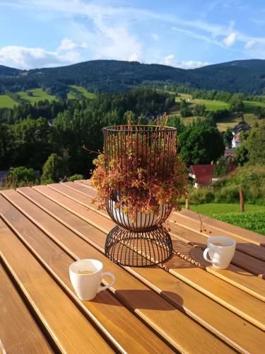 a planter sitting on top of a wooden table with two cups at Výhledovka chalet in Rokytnice nad Jizerou