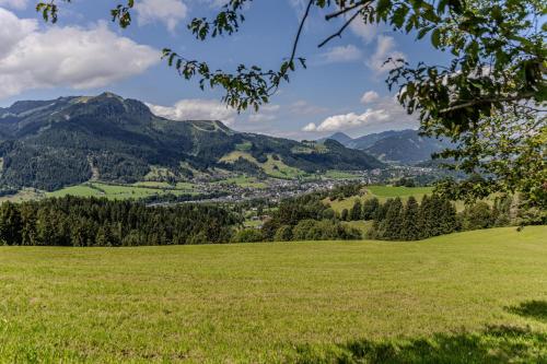 a green field with mountains in the background at Waltenberghof in Kitzbühel