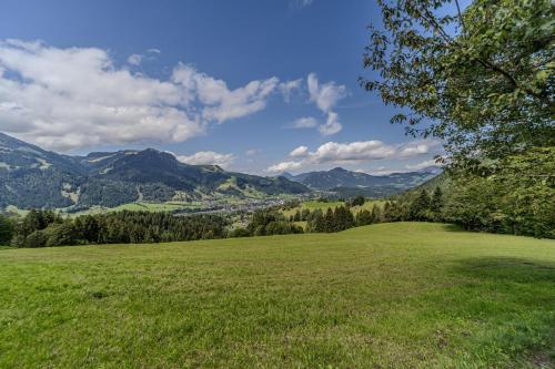 a field of green grass with mountains in the background at Waltenberghof in Kitzbühel