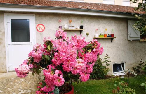 Κήπος έξω από το Le Logis du Vendangeur