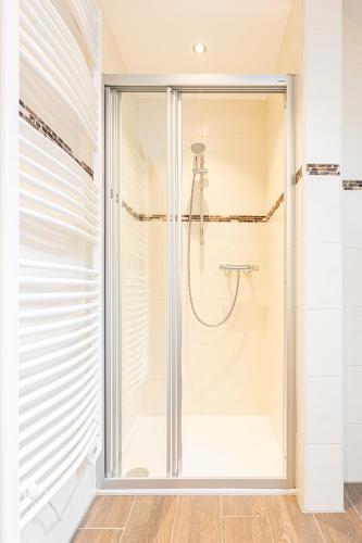 a shower with a glass door in a bathroom at Apparthaus Sonnenberg in Haus im Ennstal