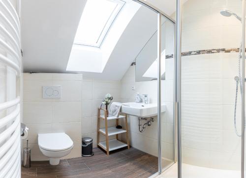 a bathroom with a toilet and a sink and a skylight at Apparthaus Sonnenberg in Haus im Ennstal
