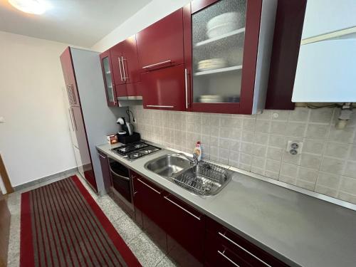Η κουζίνα ή μικρή κουζίνα στο Apartman KOD MLINA