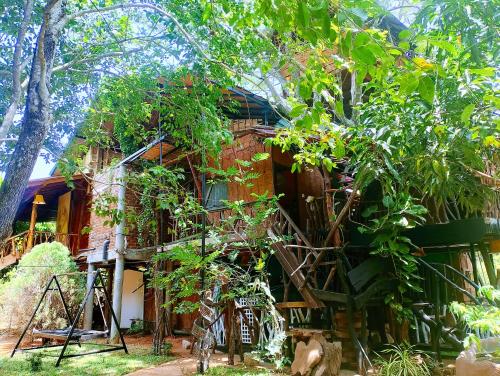 Κήπος έξω από το Nera Nature House
