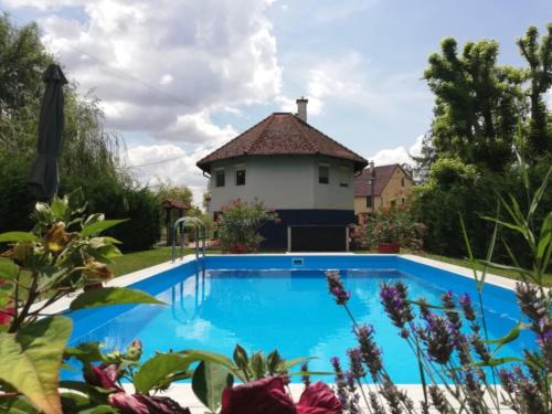 a swimming pool in front of a house at Gemenc Vendégház Baja in Baja