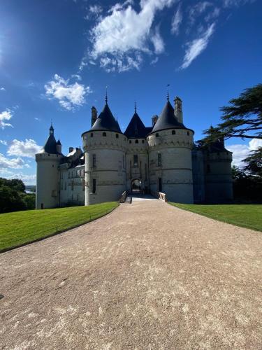 un château sur une colline avec un chemin de terre devant dans l'établissement Le Motu Loire, à Chaumont-sur-Loire