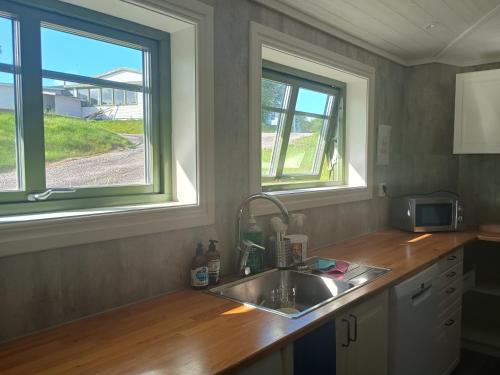 a kitchen with a sink and two windows at Jordhammars Herrgård Vandrarhem in Ödsmål