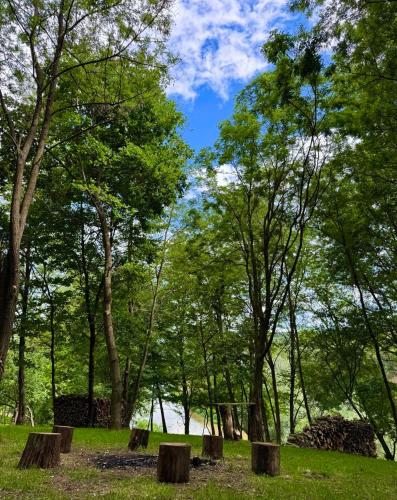 a park with trees and logs in the grass at Sanovia Glamping in Reczpol