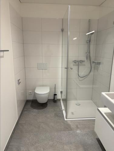a bathroom with a shower and a toilet at Herburger Living in Dornbirn