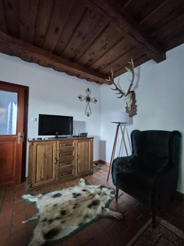 a living room with a chair and a tv at Rábagyarmati Apartman in Rábagyarmat