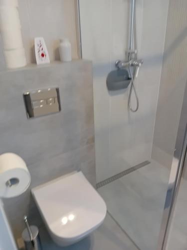 une salle de bain blanche avec toilettes et douche dans l'établissement Koliber, à Ustrzyki Dolne