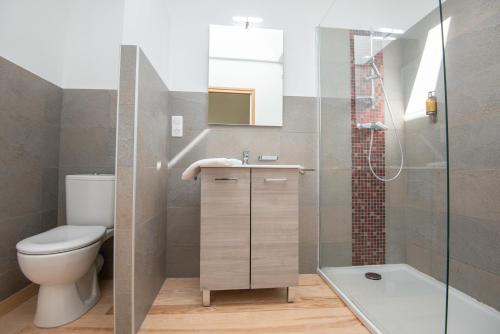 a bathroom with a toilet and a shower at Gite le crespin in Antrenas