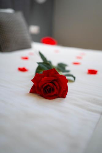 a red rose on a white bed with red petals at "The House" Апартаменти и Термална зона in Velingrad