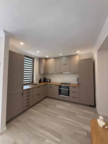 Kuchyň nebo kuchyňský kout v ubytování Ursachi Apartaments & Rooms