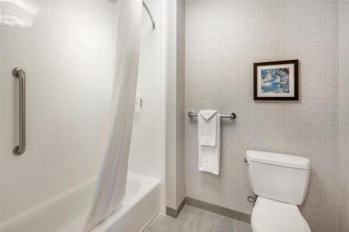 a bathroom with a white toilet and a bath tub at Hampton Inn and Suites Coeur d'Alene in Coeur d'Alene