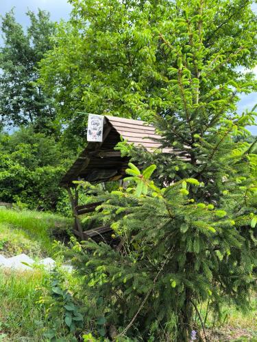 Taman di luar Кемпінг Під Горіхом